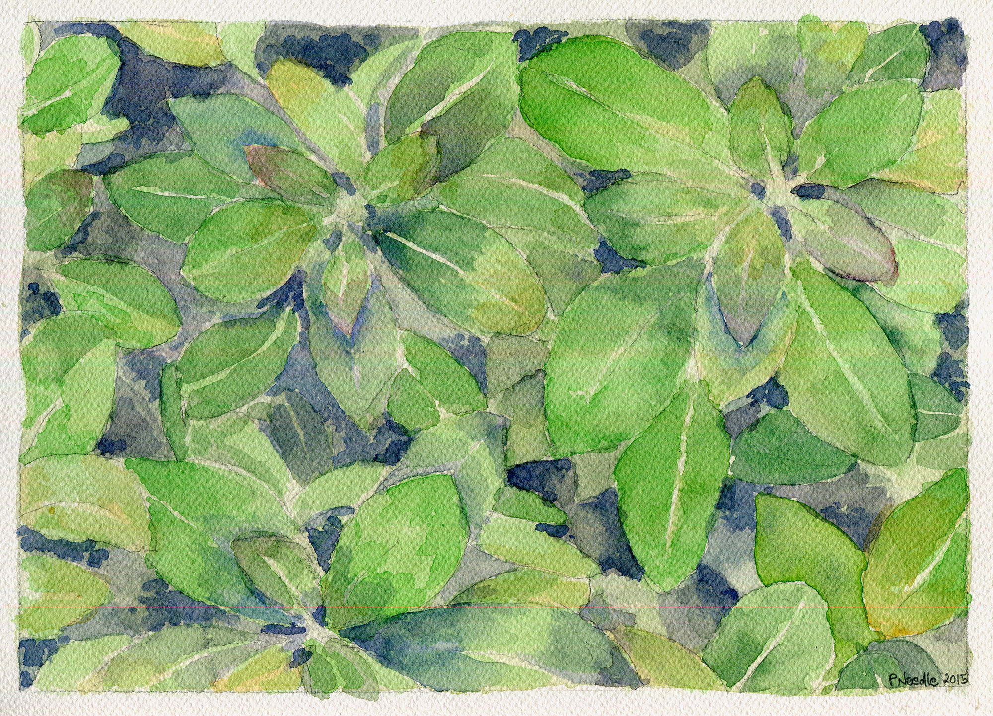 Green Leaves