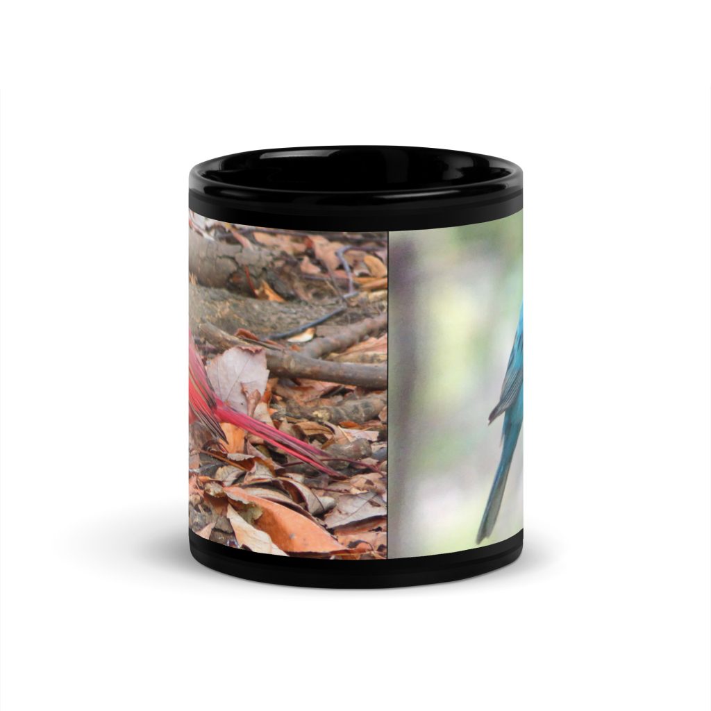 Cardinal and Indigo-bunting mug - 11oz center view