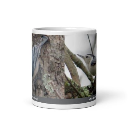 Sitta carolinensis (White-breasted nuthatch) mug - Image 3