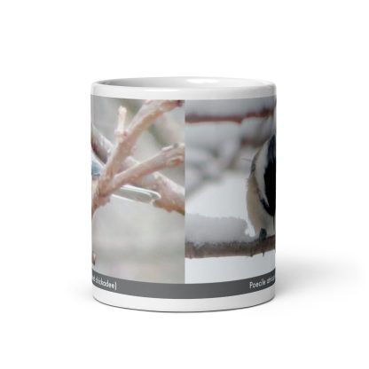 Poecile atricapillus (Black-capped chickadee) mug - Image 3