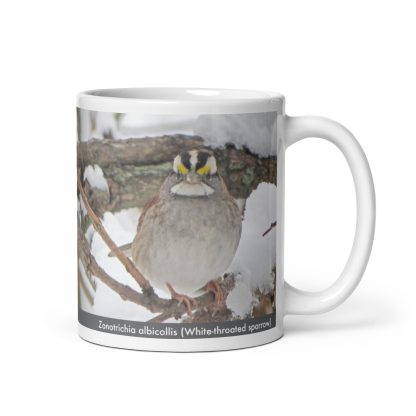 Zonotrichia albicollis (White-throated sparrow) mug - Image 2