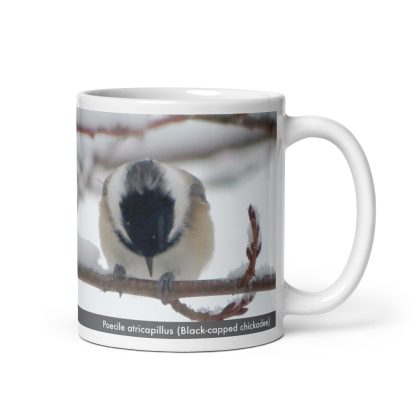 Poecile atricapillus (Black-capped chickadee) mug - Image 2